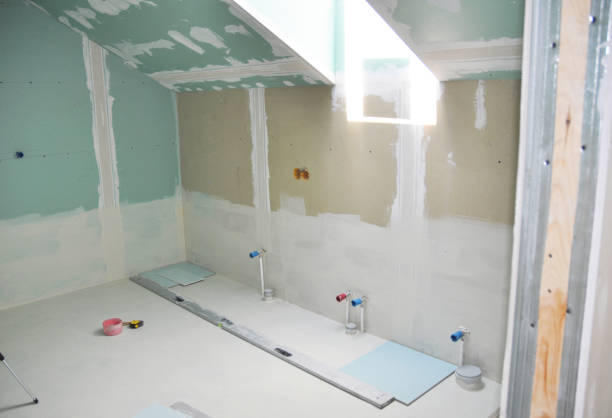 Best Attic Mold Removal  in Fort Llins, CO