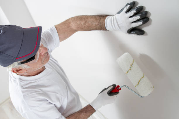 Best Mold Remediation for Healthcare Facilities  in Fort Llins, CO