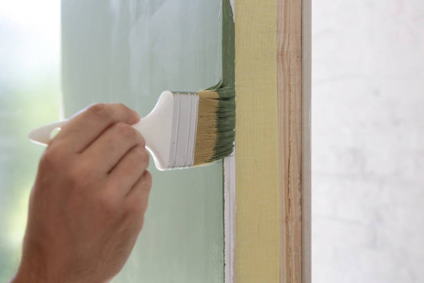 Best Basement Mold Removal  in Fort Llins, CO