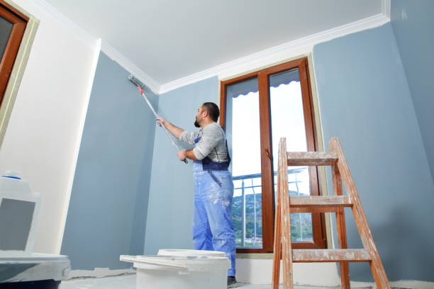 Best Residential Mold Inspection & Testing  in Fort Llins, CO