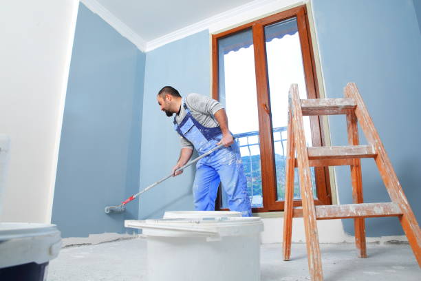Reliable Fort Collins, CO Mold Removal Solutions