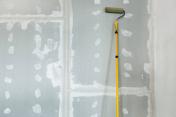 Best Dehumidification Services  in Fort Llins, CO