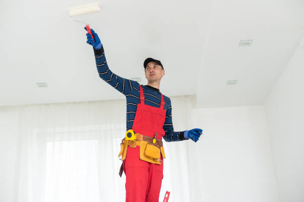 Best Commercial Mold Inspection  in Fort Llins, CO