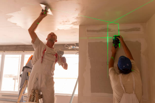 Best Biohazard Mold Removal  in Fort Llins, CO