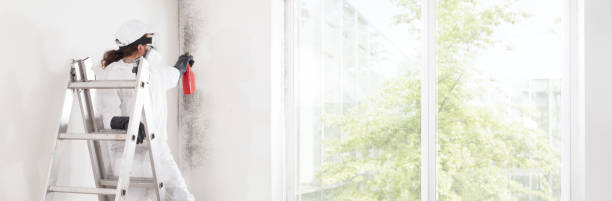 Best Mold-Related Health Consultation  in Fort Llins, CO